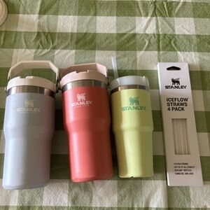 Stanley Tumblers and straws